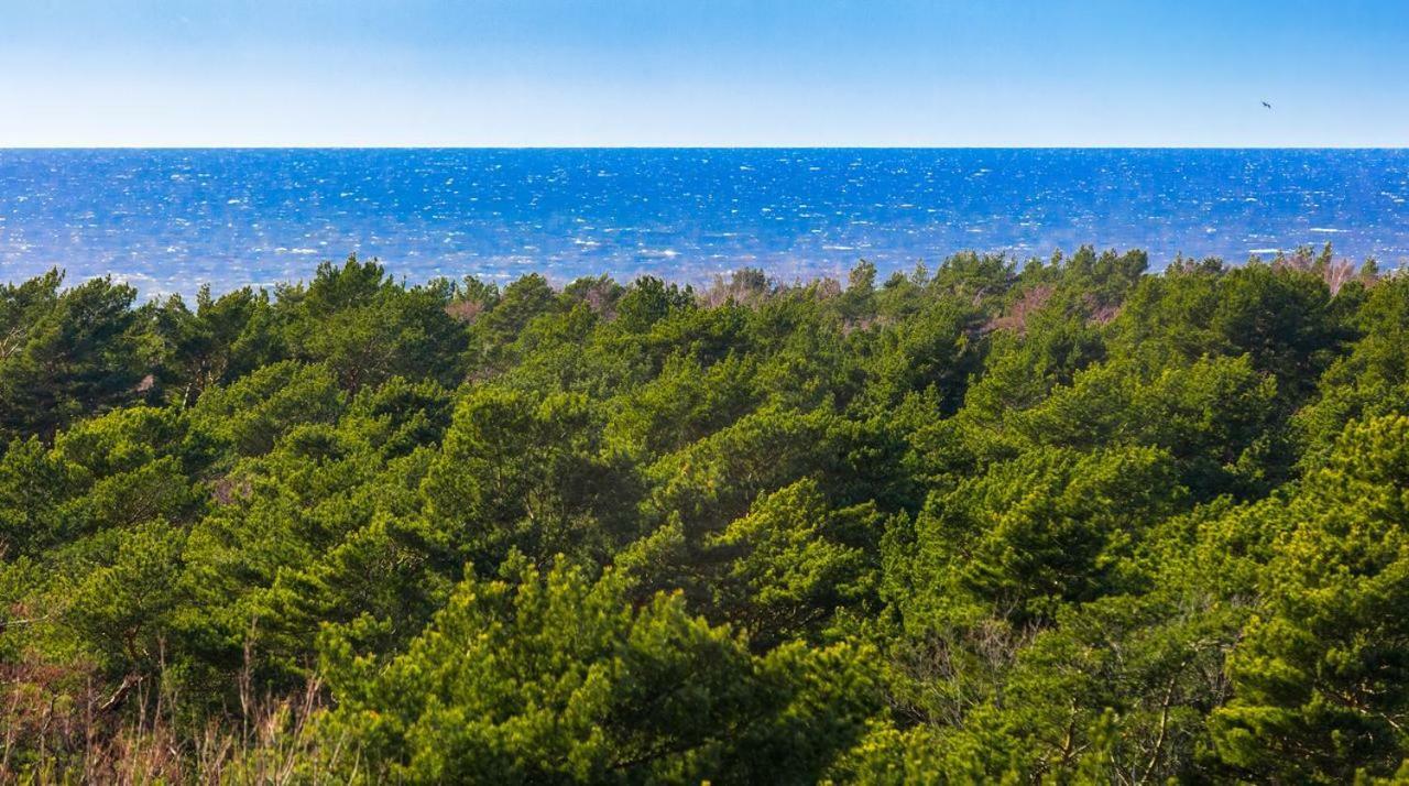 Palanga Sea View Daire Dış mekan fotoğraf